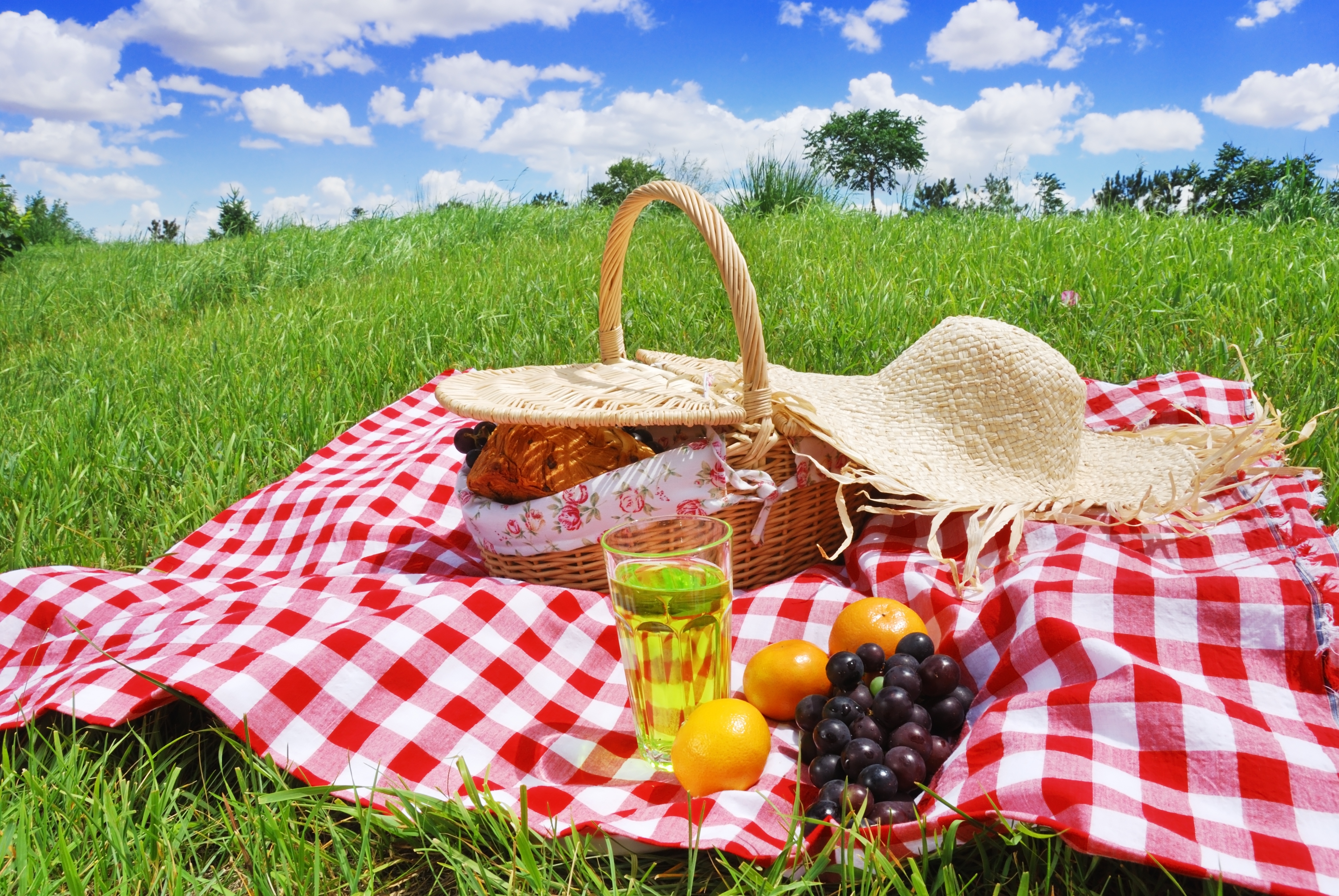 Resultado de imagen de picnic